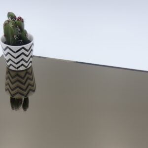 bronzen spiegel met cactusje