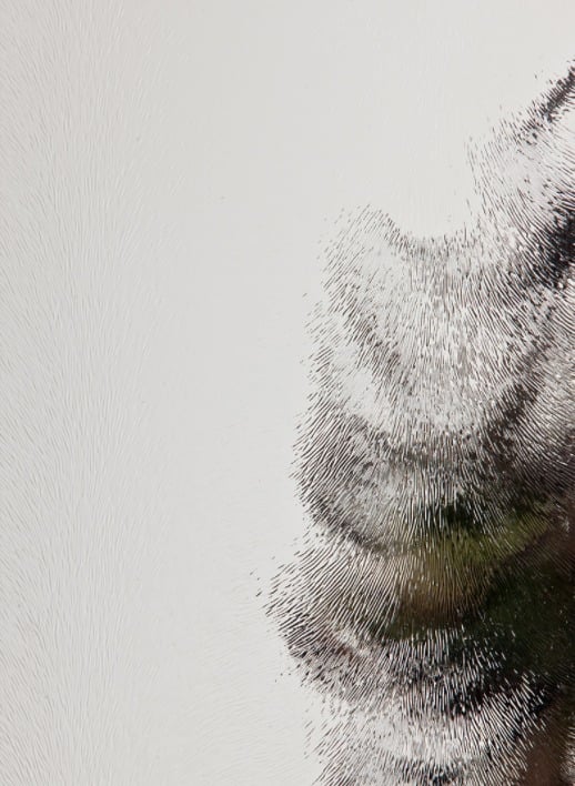 Chinchilla blank - Afbeelding 2