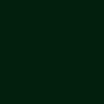 Grachtengroen (RAL6064)